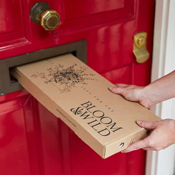 Letterbox Packaging