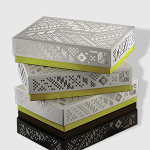 Silver Packaging Boxes